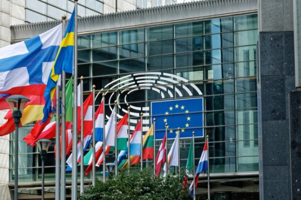 Altercație între o eurodeputată suedeză de origine română și o angajată de la un alt grup parlamentar. Care a fost motivul 682f6cf68749d.jpeg