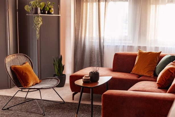 From stick on tiles to bookshelves: nine easy ways to update your rental home on a budget 682f79e0e92fa.jpeg