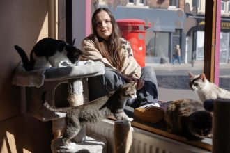 its better for them than being in a cage why are cat cafes suddenly so controversial 682da0726d717