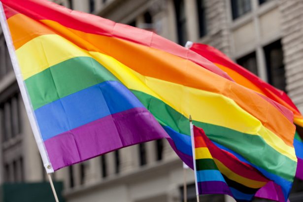 Parlamentul olandez cere guvernului să participe în Budapesta la marşul LGBT interzis de Viktor Orban 682f626caad6d.jpeg